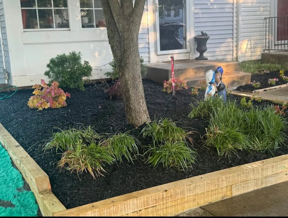 Expert residential landscaping near you in Catonsville, MD by Wolfpack Lawn and Landscaping