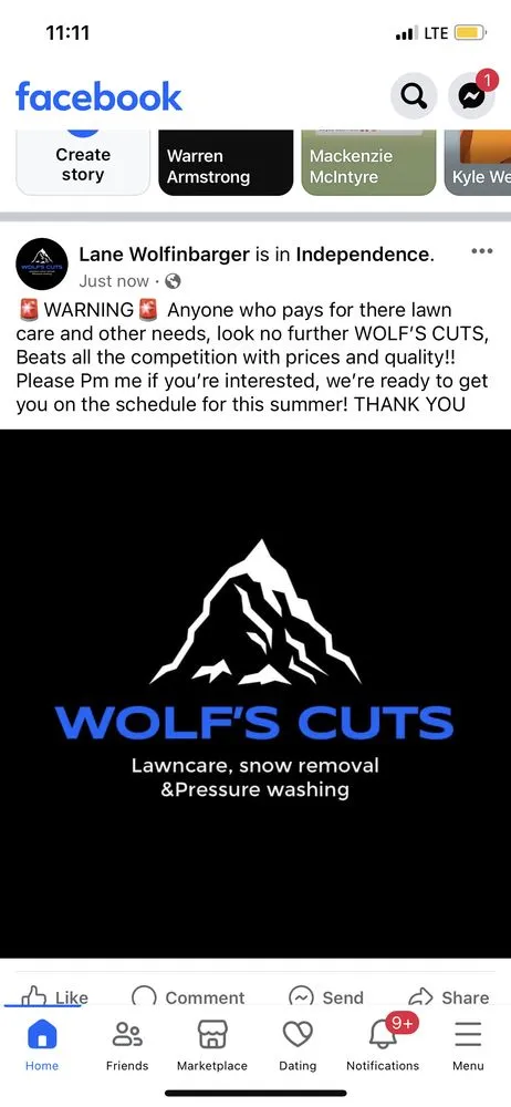 Affordable landscaping services in Independence, KY by Wolf’s Cuts