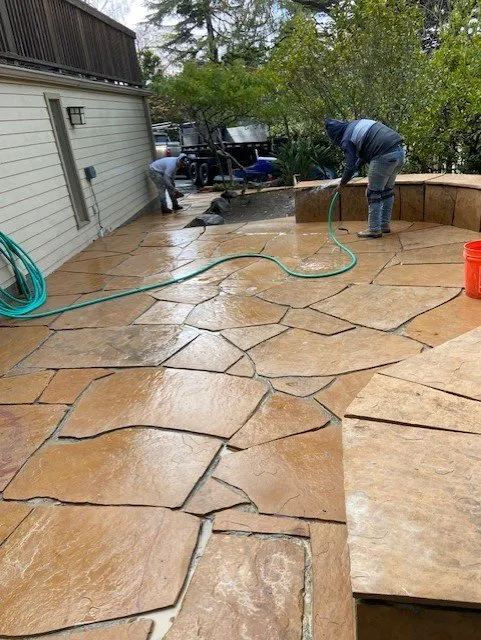 Top-rated landscaping services for year-round maintenance across Concord, CA - Wolf's Intuitive Landscapes