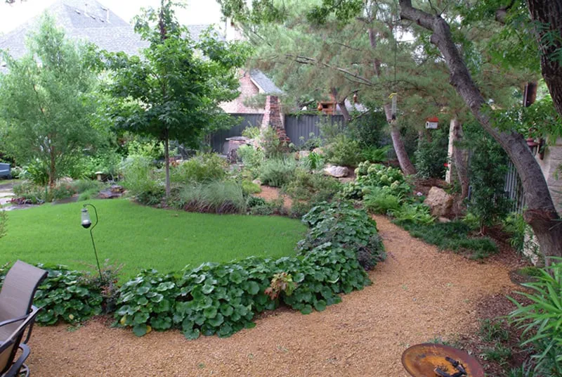 Professional lawn care service in Concord, CA - Wolf's Intuitive Landscapes