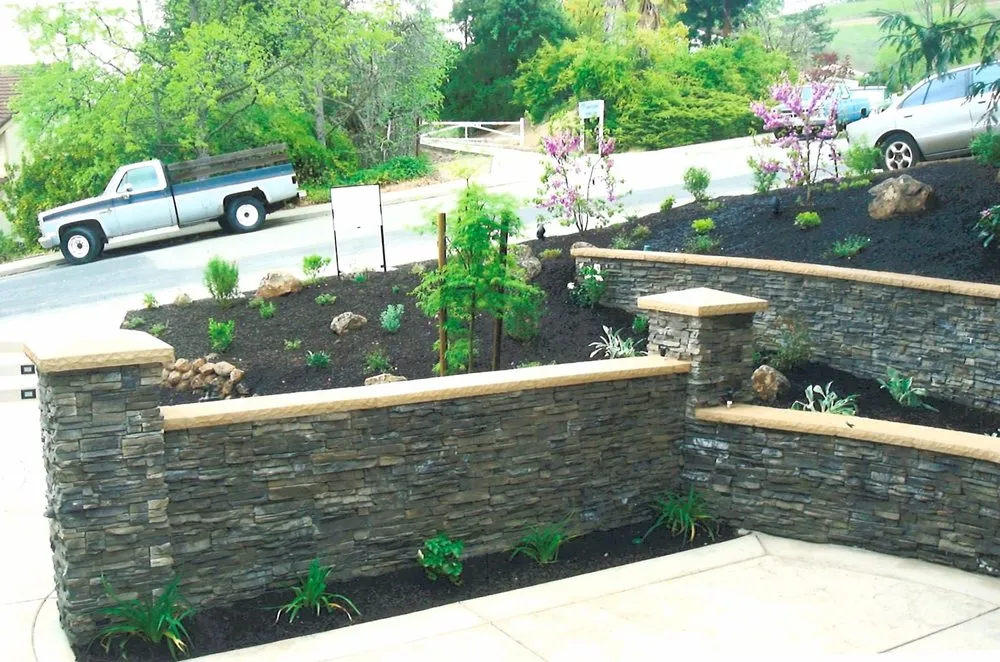 Custom residential landscaping for year-round maintenance across Concord, CA - Wolf's Intuitive Landscapes