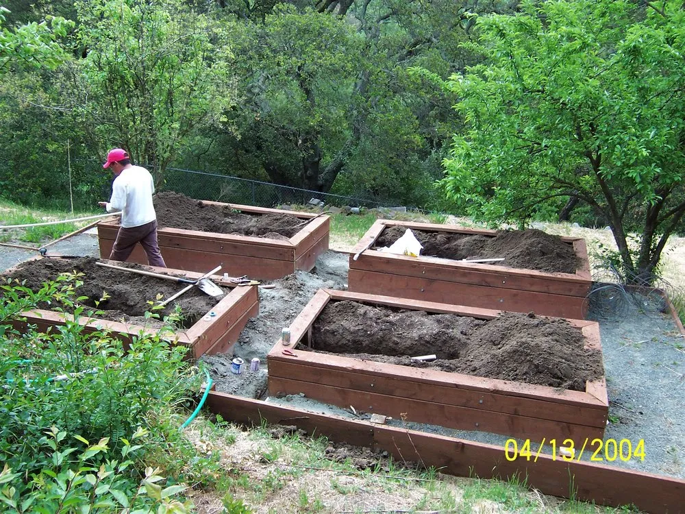 Reliable landscape design in Concord, CA - Wolf's Intuitive Landscapes