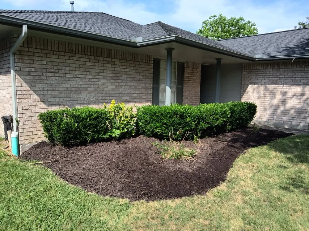 Expert yard maintenance for year-round maintenance in Porter, TX by Wolf's Landscaping