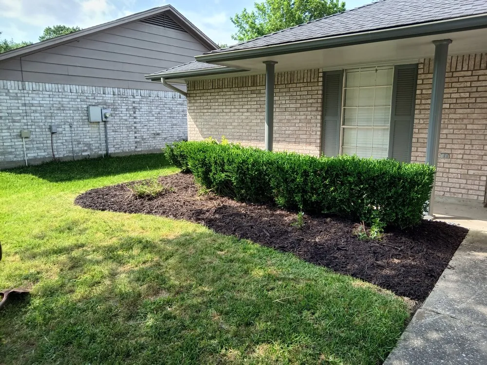 Top-rated yard cleanup service in Porter, TX - Wolf's Landscaping