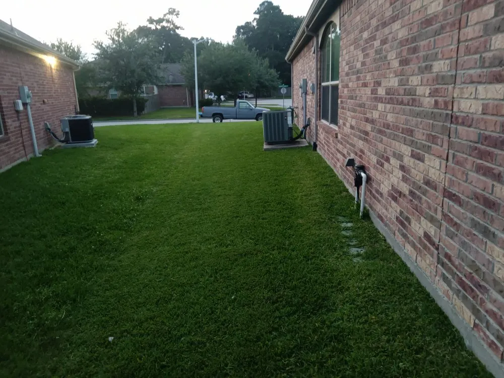 Trusted yard maintenance near you in Porter, TX by Wolf's Landscaping