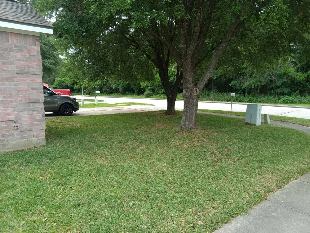 Custom residential landscaping with custom design across Porter, TX - Wolf's Landscaping