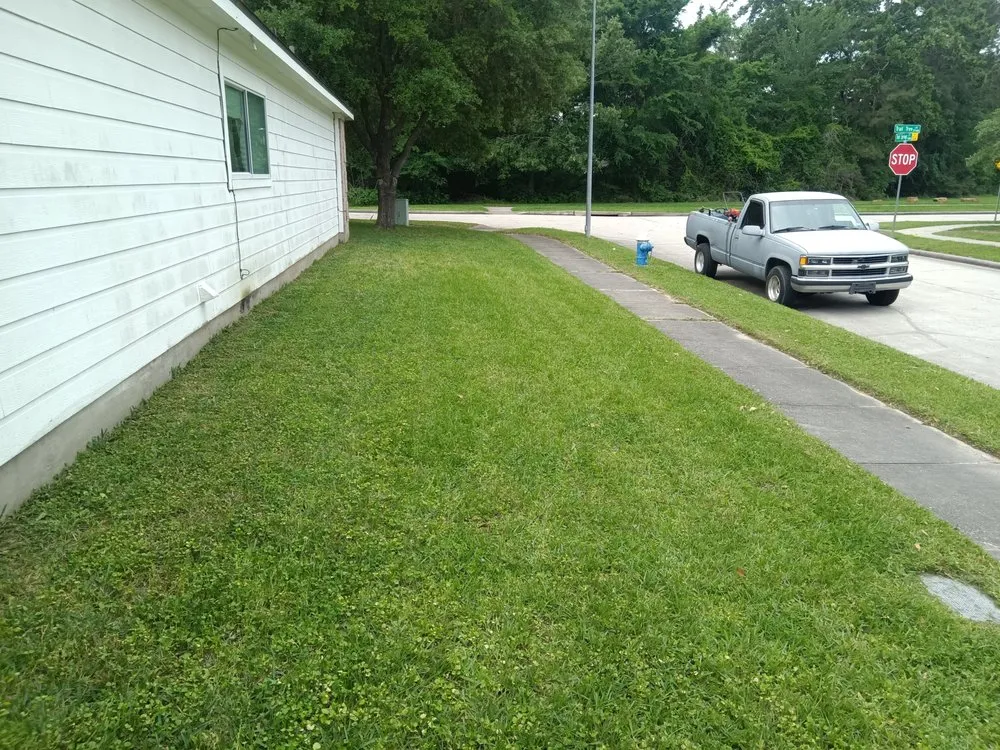 Expert yard maintenance in Porter, TX - Wolf's Landscaping