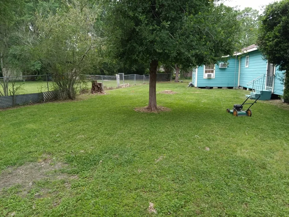 Custom landscaping services experts serving Porter, TX - Wolf's Landscaping