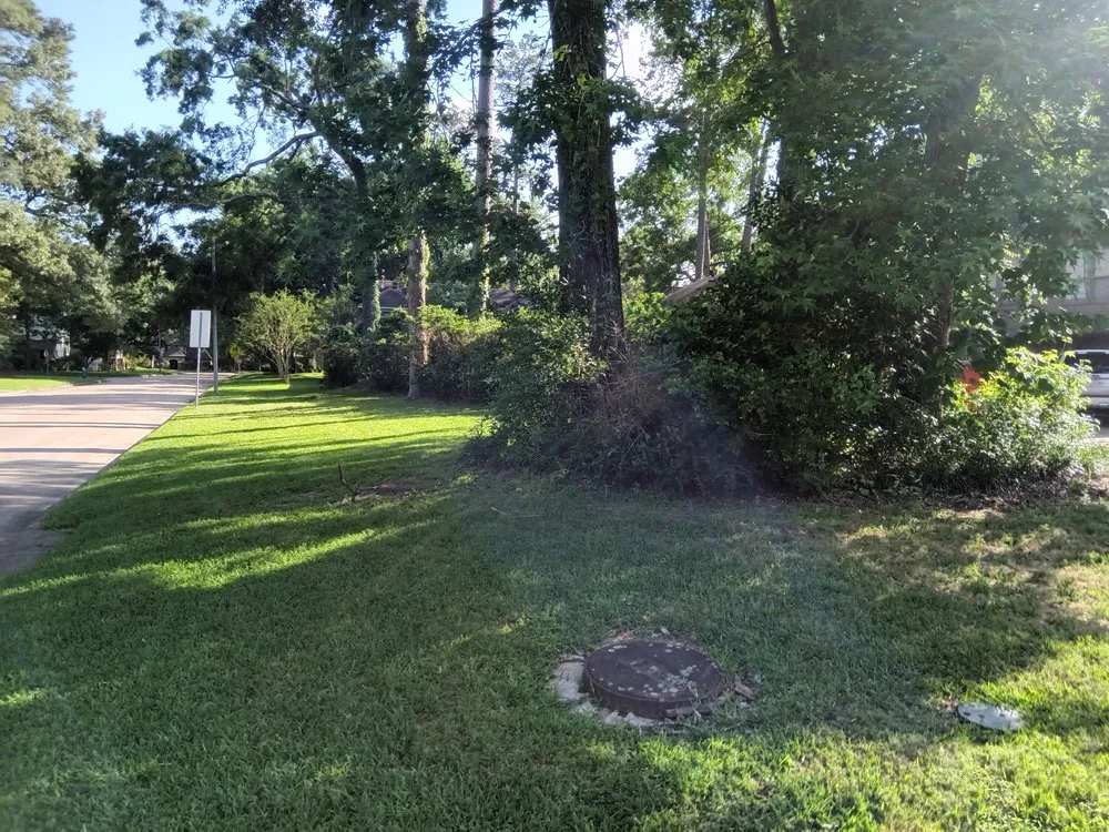 Professional yard cleanup service experts serving Porter, TX - Wolf's Landscaping