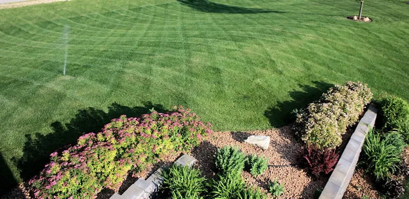Professional yard cleanup service in Prior Lake, MN - Wolfs Pro Lawn