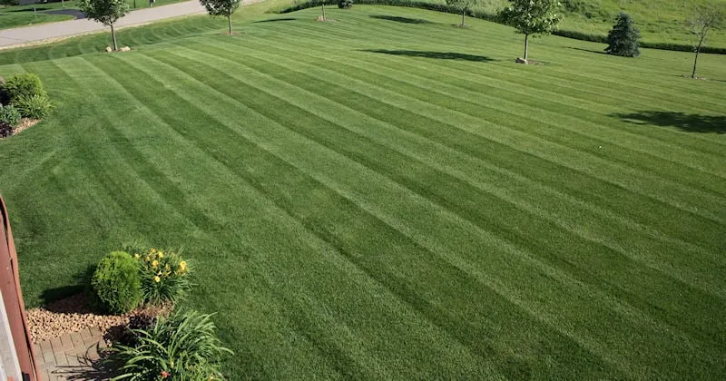 Expert lawn mowing service in Prior Lake, MN by Wolfs Pro Lawn