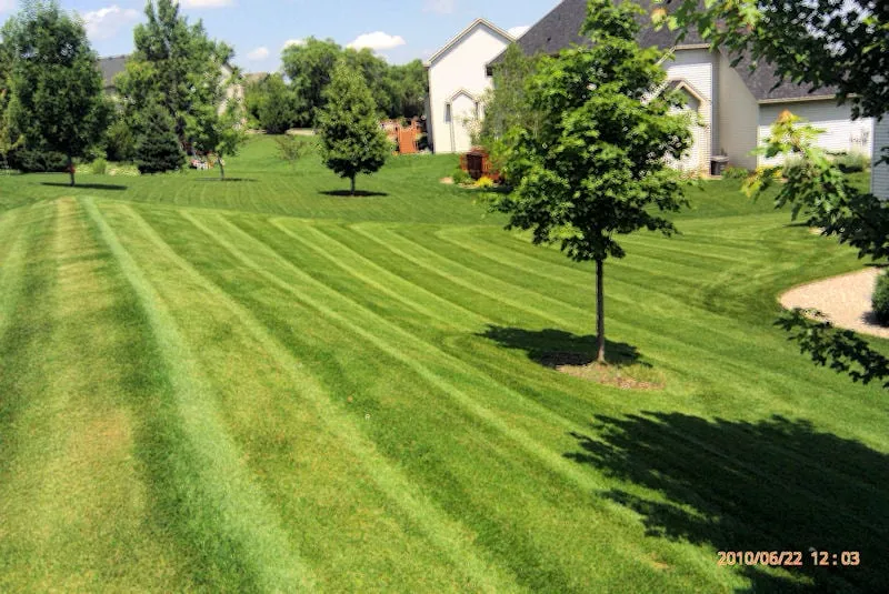 Professional yard cleanup service experts serving Prior Lake, MN - Wolfs Pro Lawn