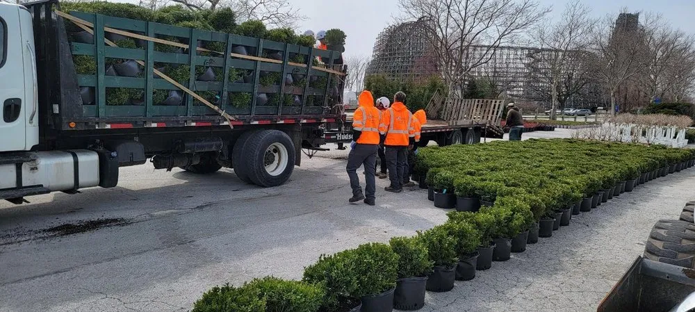 Local outdoor landscaping for year-round maintenance across Northfield, OH - Wolfscape