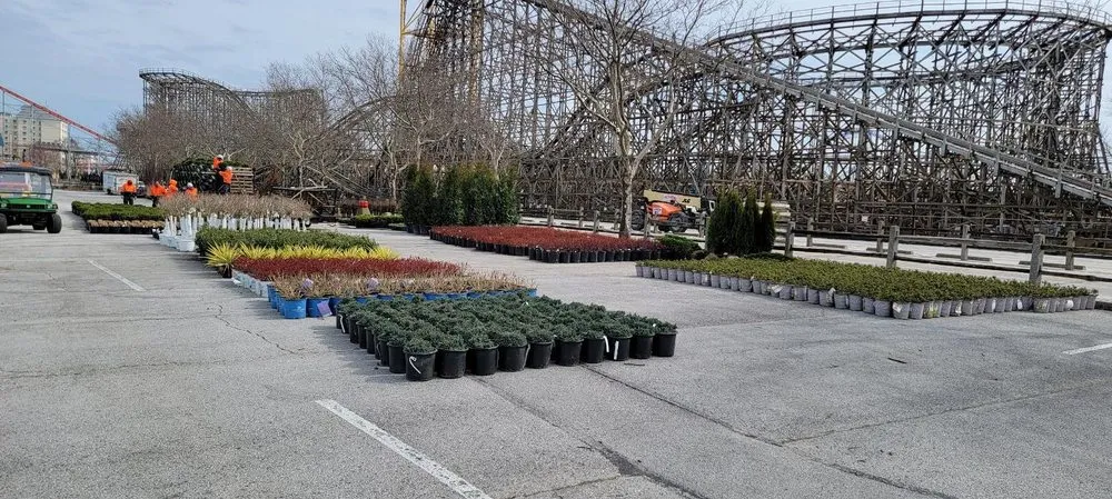 Professional landscape design experts serving Northfield, OH - Wolfscape