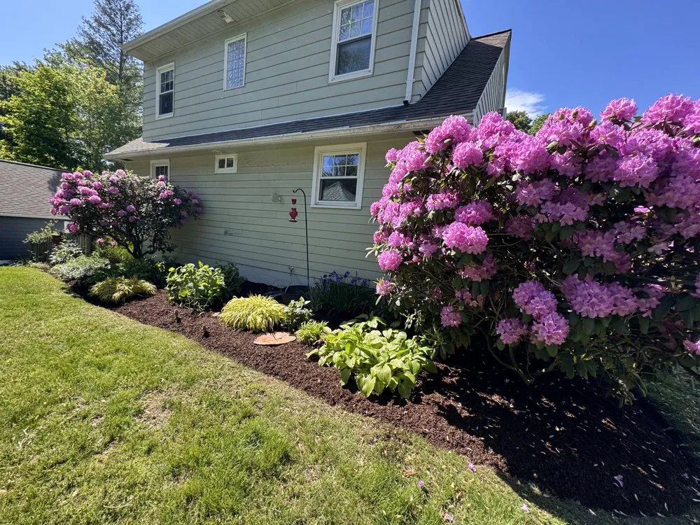 Expert yard cleanup service experts serving New Windsor, NY - Wolfscapes Maintenance