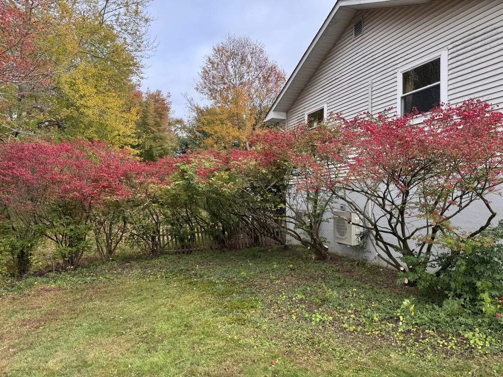 Top-rated landscaping services for homes across New Windsor, NY - Wolfscapes Maintenance