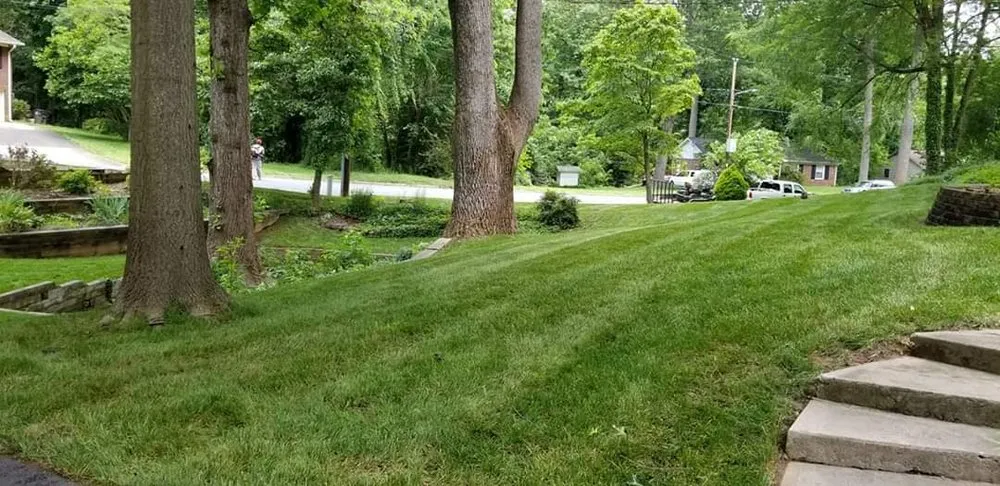 Trusted residential landscaping experts serving Winston-salem, NC - Wolfy's Landscaping Specialists