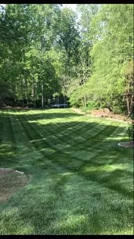 Affordable landscape design for year-round maintenance across Winston-salem, NC - Wolfy's Landscaping Specialists