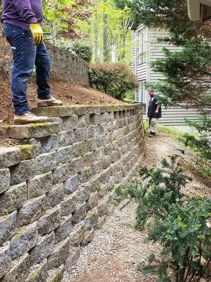 Affordable yard cleanup service experts serving Winston-salem, NC - Wolfy's Landscaping Specialists