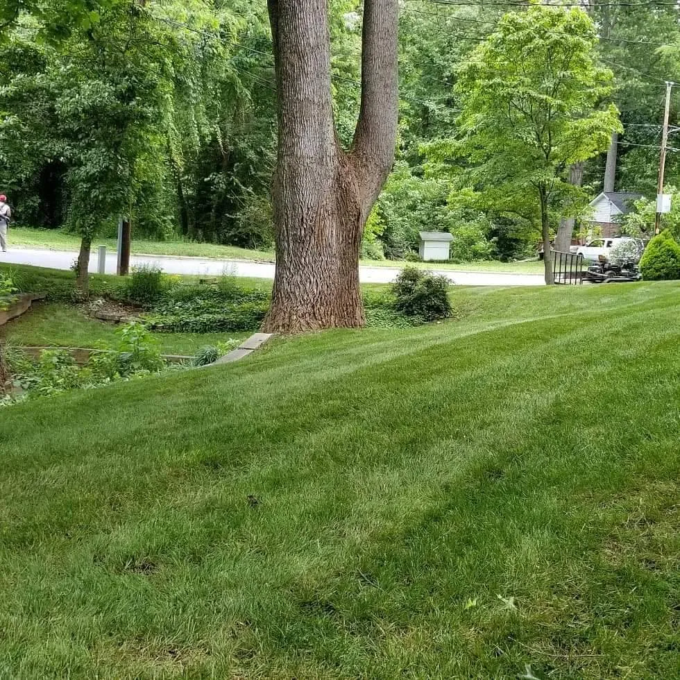 Custom lawn mowing service in Winston-salem, NC - Wolfy's Landscaping Specialists