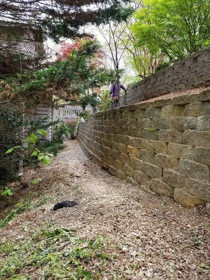 Affordable yard cleanup service in Winston-salem, NC - Wolfy's Landscaping Specialists