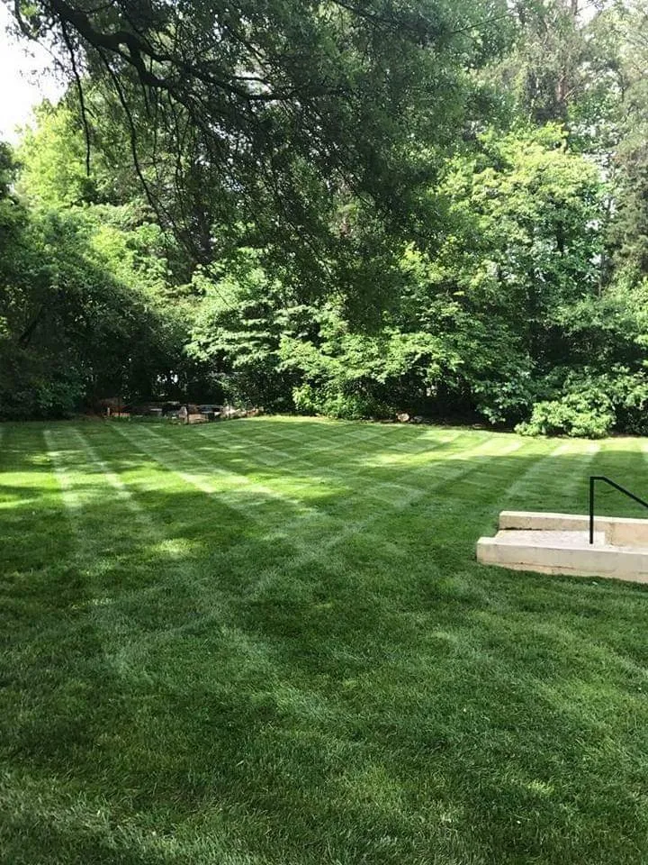 Custom yard cleanup service for year-round maintenance in Winston-salem, NC by Wolfy's Landscaping Specialists