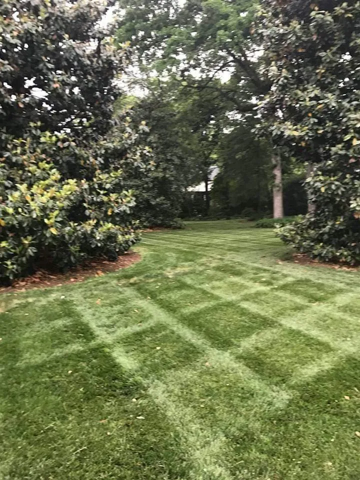 Professional yard maintenance in Winston-salem, NC - Wolfy's Landscaping Specialists
