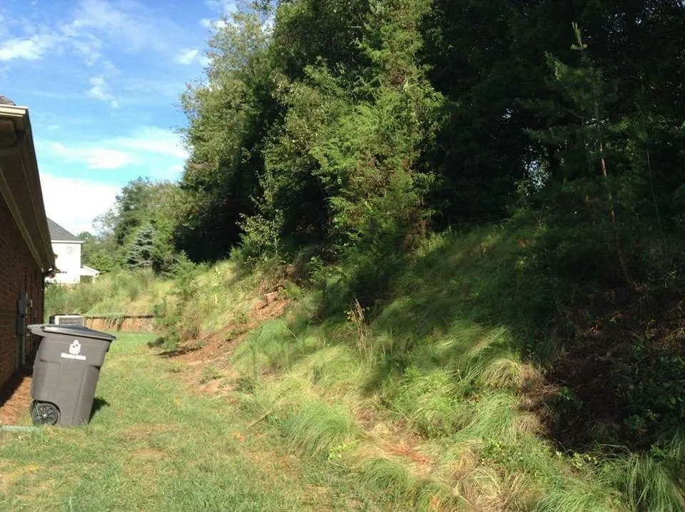 Expert landscape design experts serving Winston-salem, NC - Wolfy's Landscaping Specialists