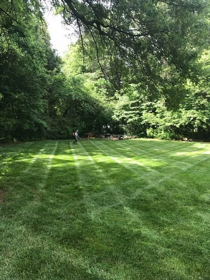 Custom landscaping services in Winston-salem, NC - Wolfy's Landscaping Specialists
