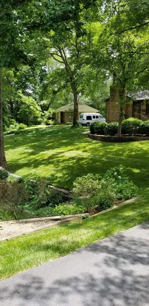 Expert yard maintenance for year-round maintenance across Winston-salem, NC - Wolfy's Landscaping Specialists