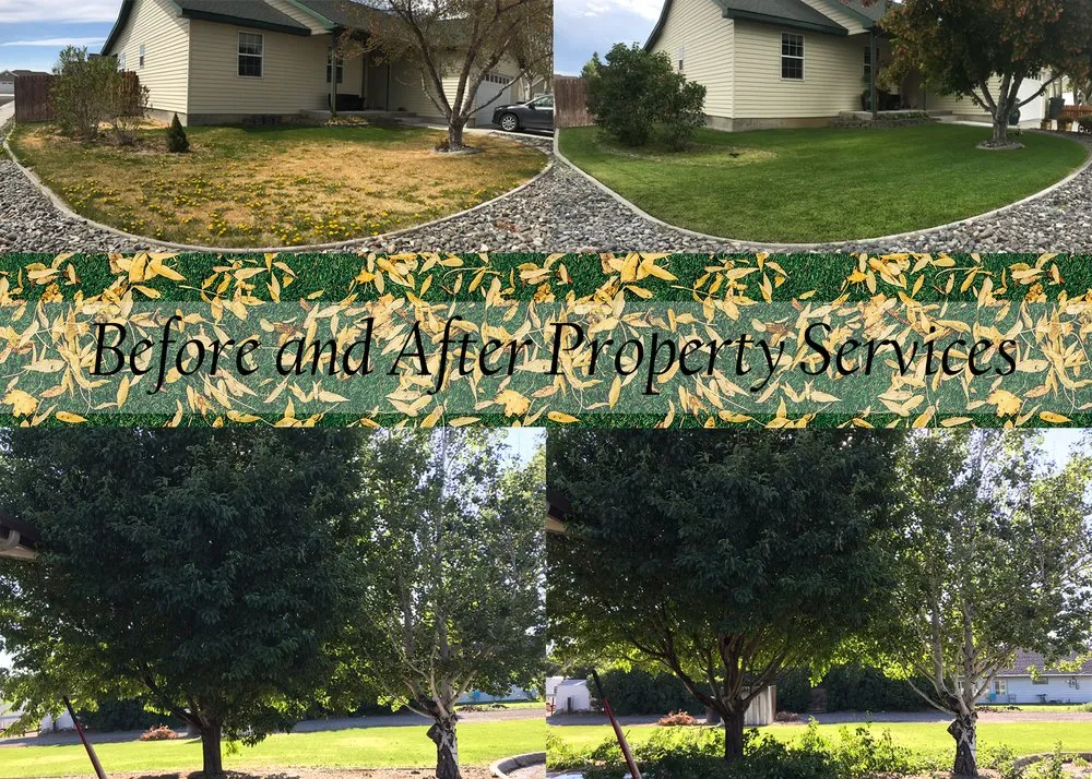 Top-rated yard cleanup service near you across Powell, WY - Wollam Lawn Care