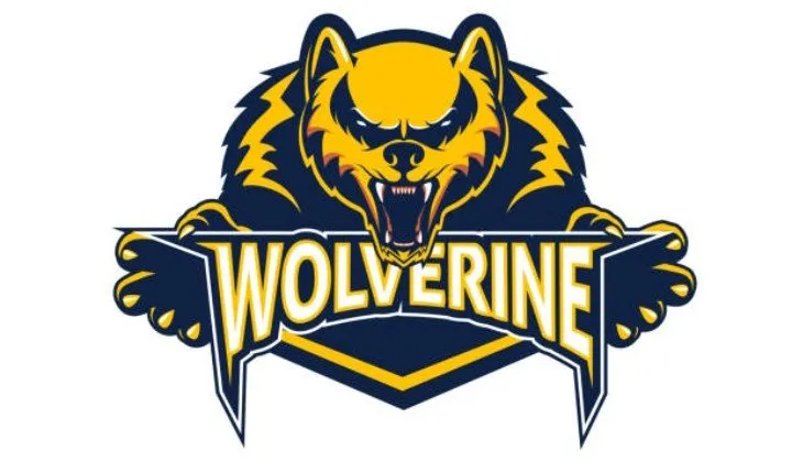 Expert residential landscaping in Clarkston, MI by Wolverine Exterior Solutions