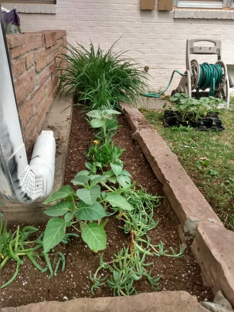 Reliable yard maintenance for homes in Harper, KS by Wolverine Landscapes