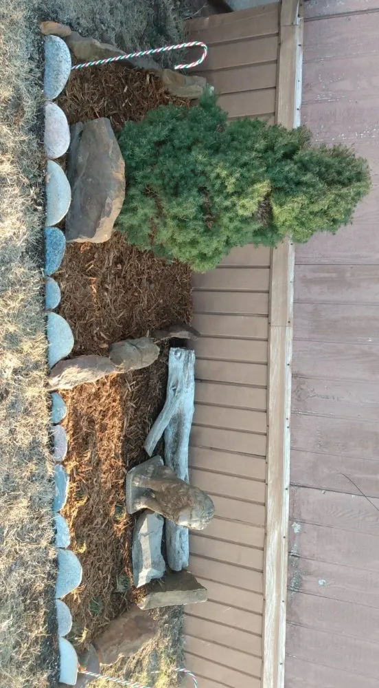 Expert landscaping services in Harper, KS by Wolverine Landscapes