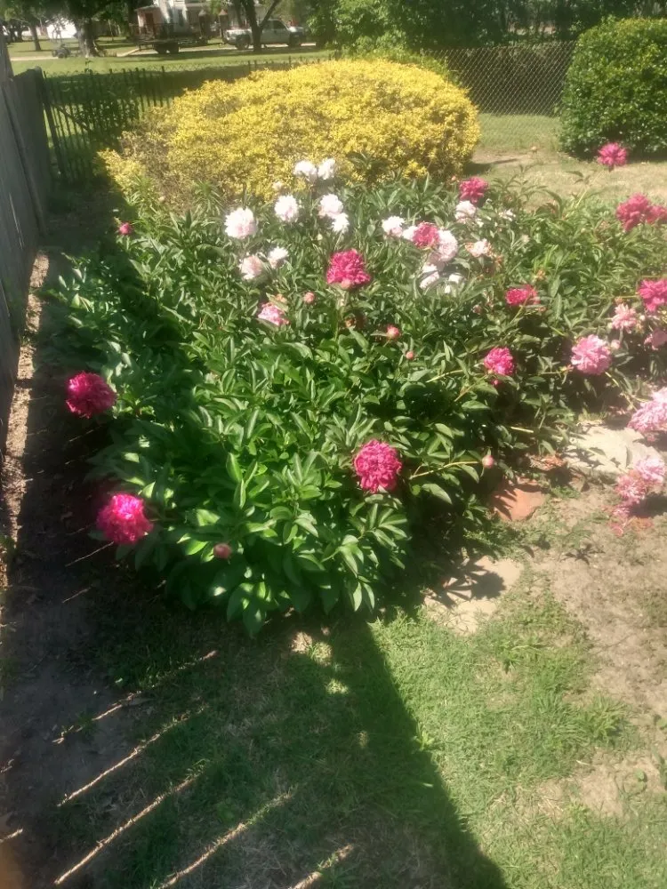 Custom outdoor landscaping for residential properties across Harper, KS - Wolverine Landscapes