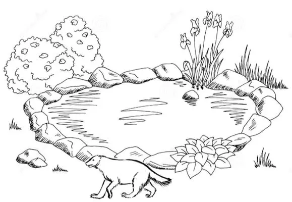 Wolverine Landscapes