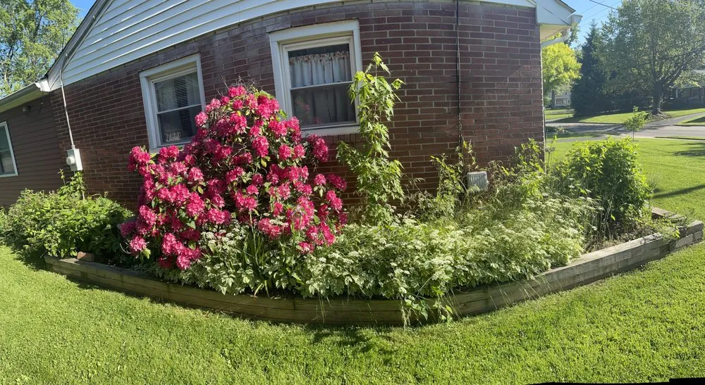 Trusted yard maintenance for year-round maintenance across Greenville, PA - Wolves Landscaping