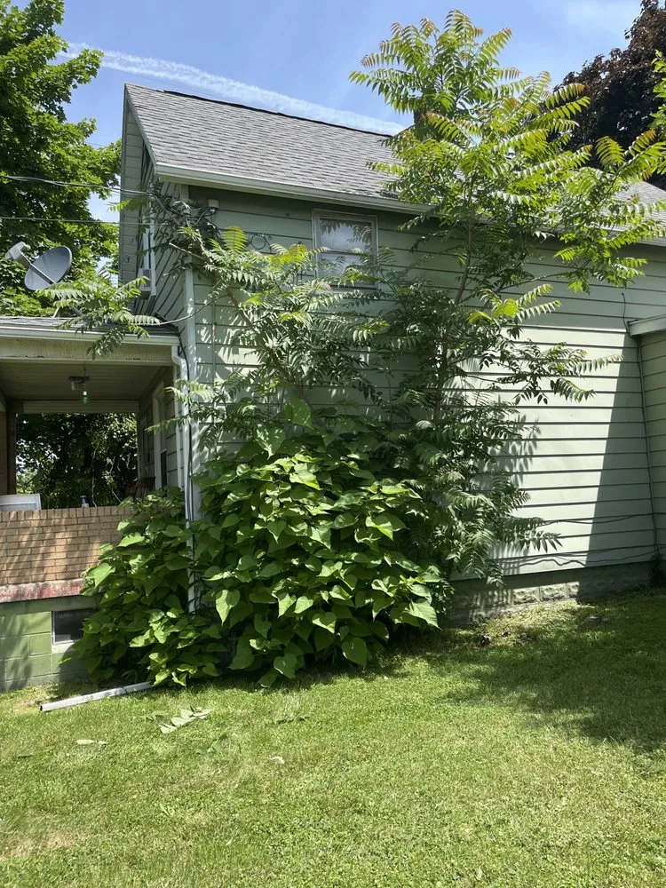 Trusted lawn mowing service in Greenville, PA - Wolves Landscaping