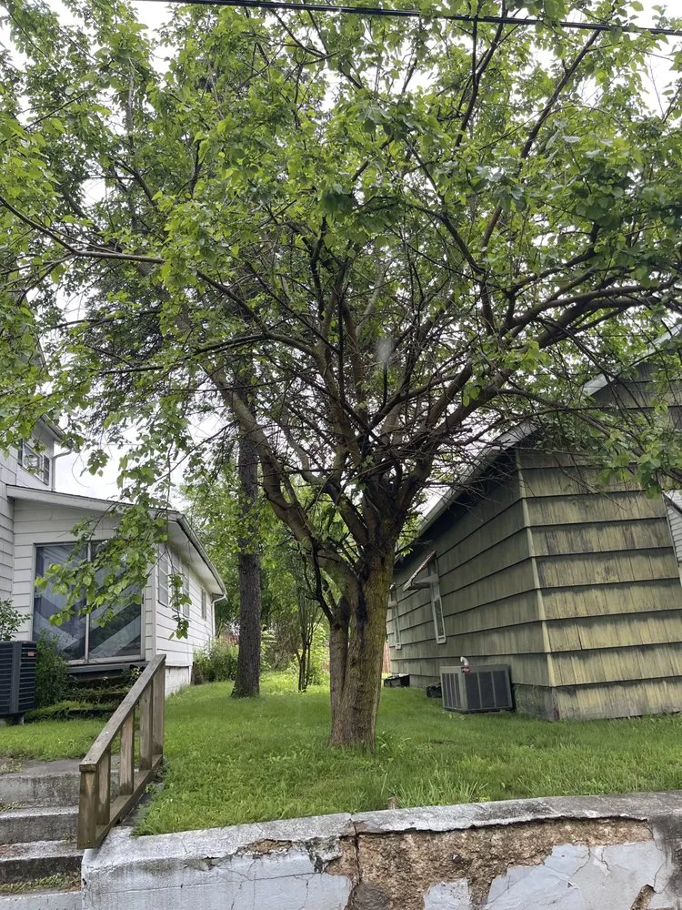 Affordable landscape design for beautiful yards across Greenville, PA - Wolves Landscaping