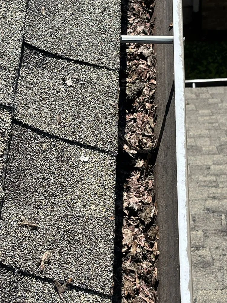 Reliable lawn care service in Hillsboro, OR - Wolves Landscaping Maintenance