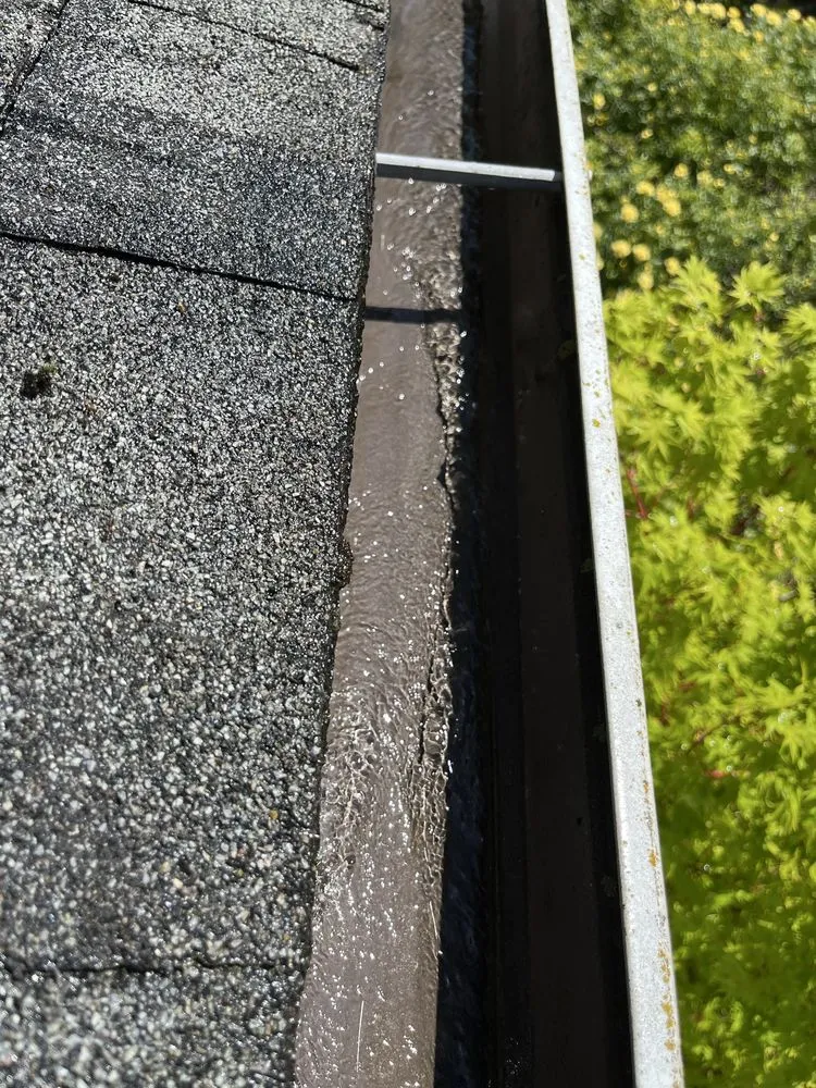 Trusted yard maintenance for outdoor upgrades across Hillsboro, OR - Wolves Landscaping Maintenance