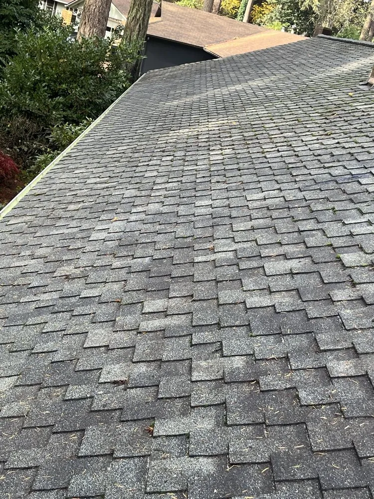 Top-rated landscape installation in Hillsboro, OR by Wolves Landscaping Maintenance