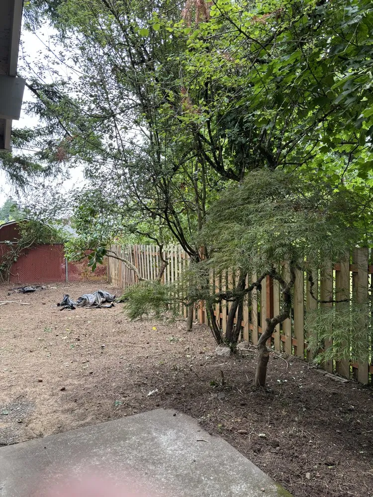 Local lawn mowing service in Hillsboro, OR - Wolves Landscaping Maintenance