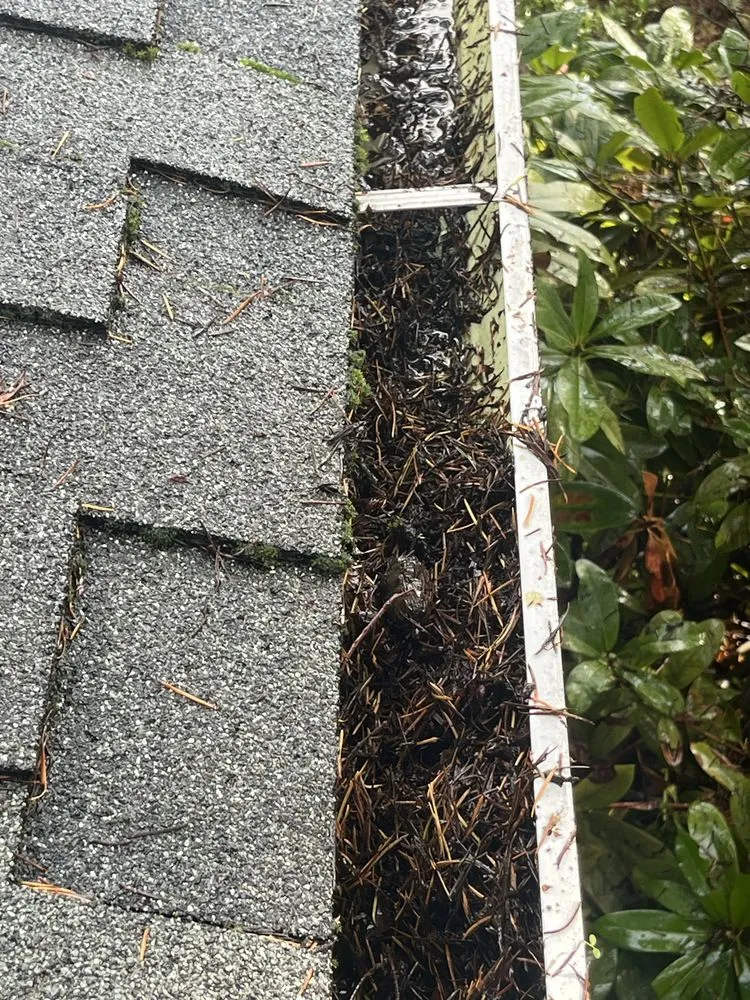 Expert lawn care service with custom design across Hillsboro, OR - Wolves Landscaping Maintenance