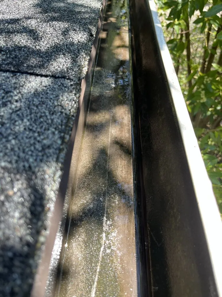 Professional yard maintenance in Hillsboro, OR - Wolves Landscaping Maintenance