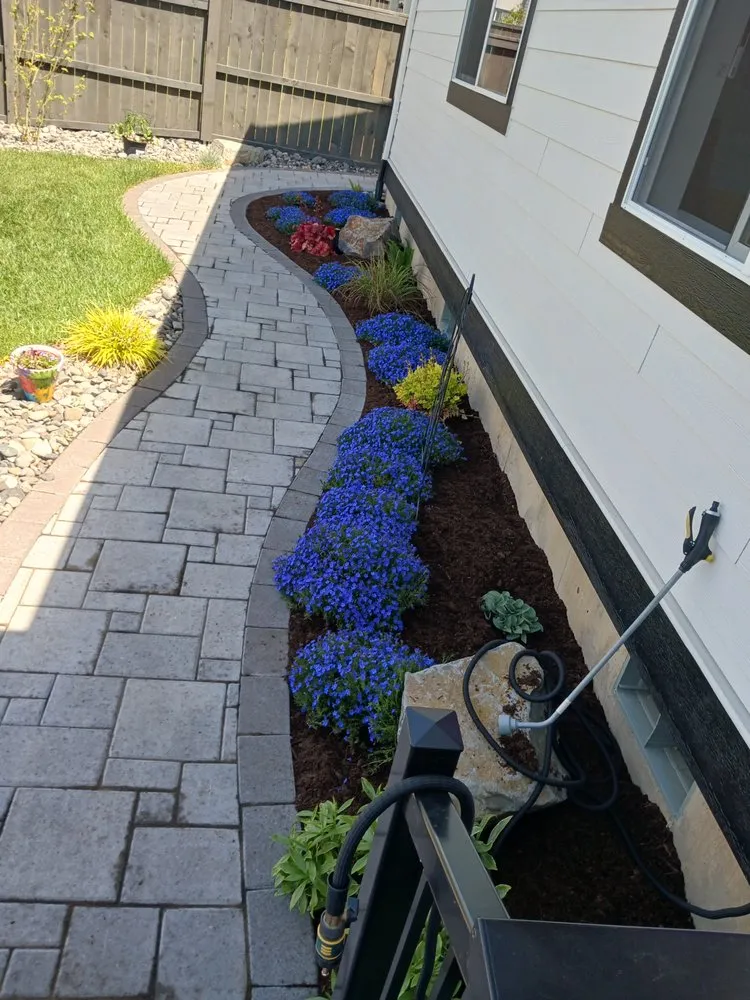 Expert landscape design in Hillsboro, OR - Wolves Landscaping Maintenance