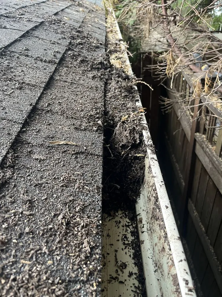 Top-rated lawn care service experts serving Hillsboro, OR - Wolves Landscaping Maintenance