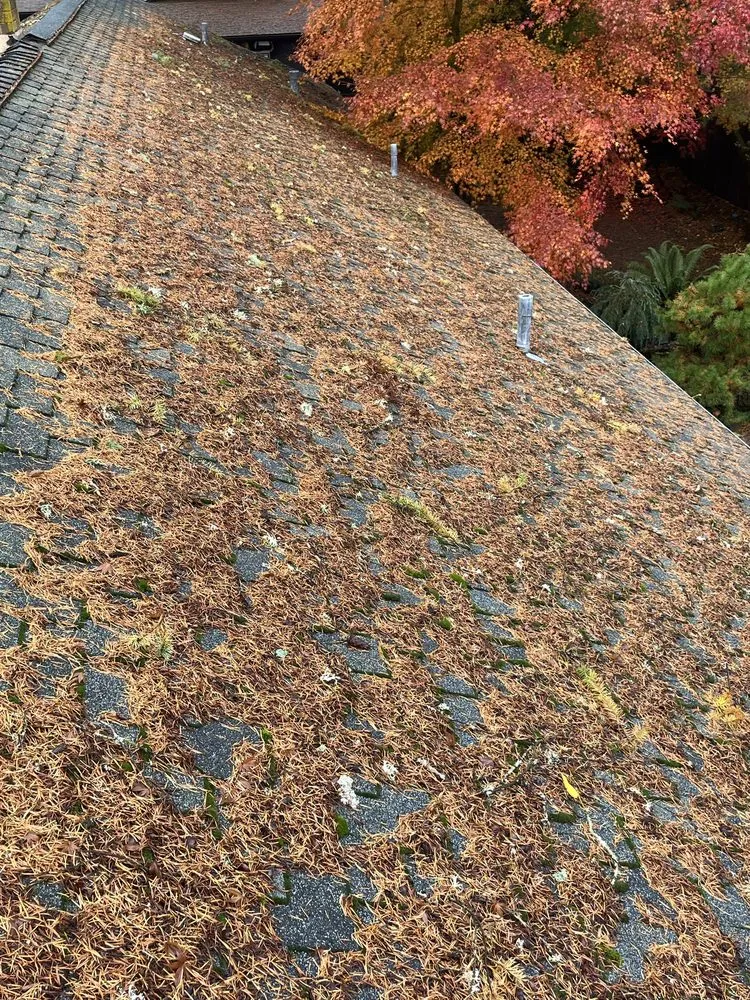 Professional landscape installation experts serving Hillsboro, OR - Wolves Landscaping Maintenance