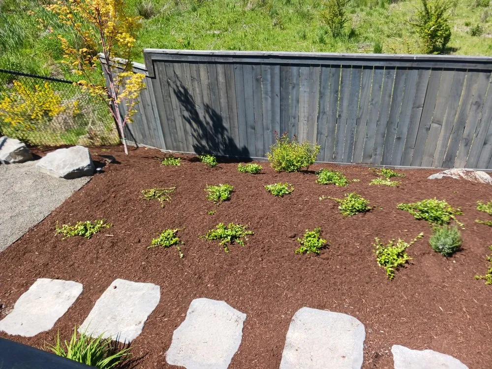 Local landscape installation in Hillsboro, OR by Wolves Landscaping Maintenance