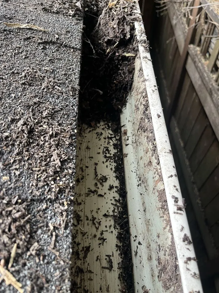 Local landscape design for year-round maintenance across Hillsboro, OR - Wolves Landscaping Maintenance